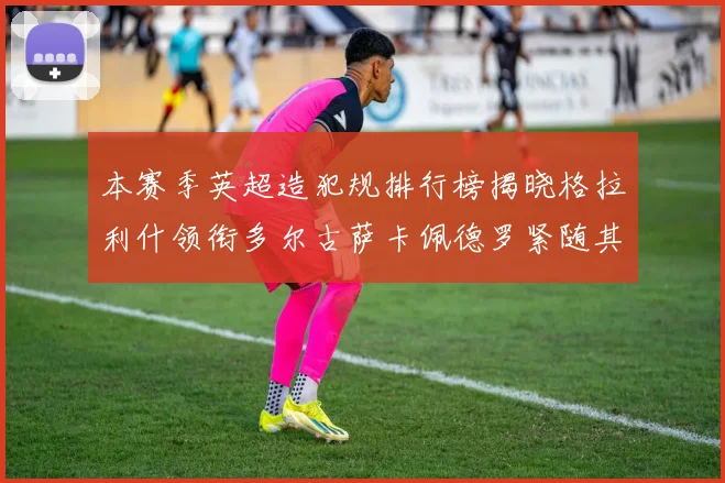本赛季英超造犯规排行榜揭晓格拉利什领衔多尔古萨卡佩德罗紧随其后